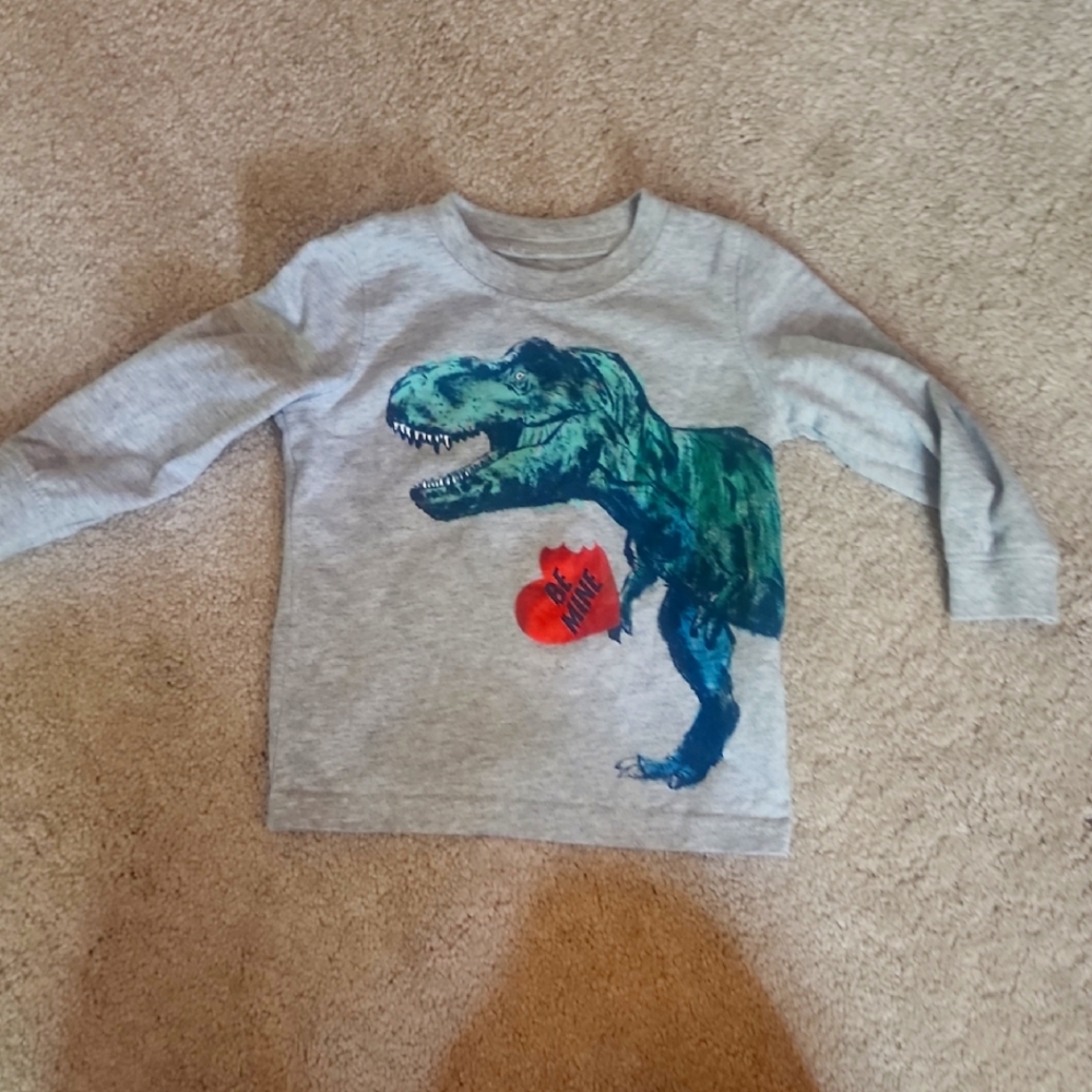 Gray Dinosaur Kids Shirt